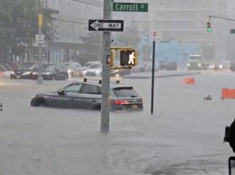 Siete Plagas en New York